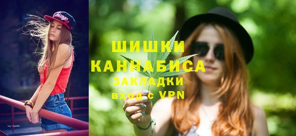 хмурый Заводоуковск