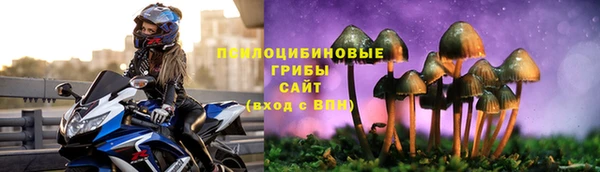 хмурый Заводоуковск
