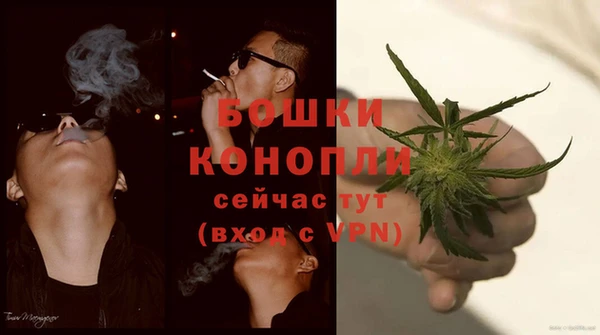хмурый Заводоуковск