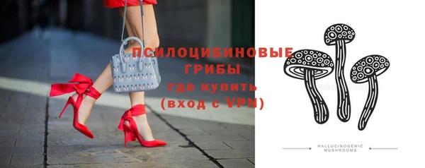 хмурый Заводоуковск