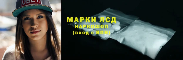 гидропоника Ростов