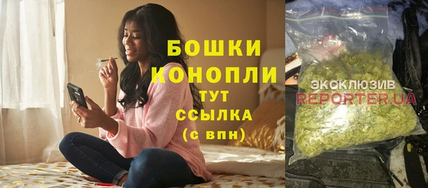 стаф Рославль