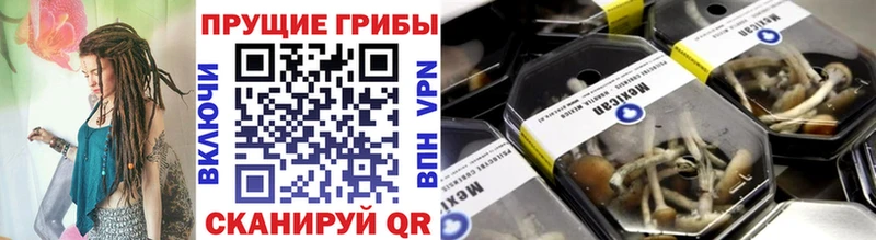 Псилоцибиновые грибы MAGIC MUSHROOMS  Купить закладки  Заволжск 